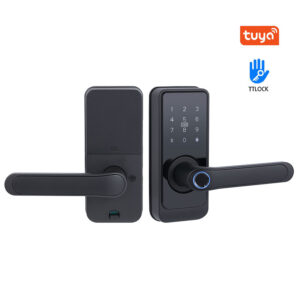 Smart Lock F6